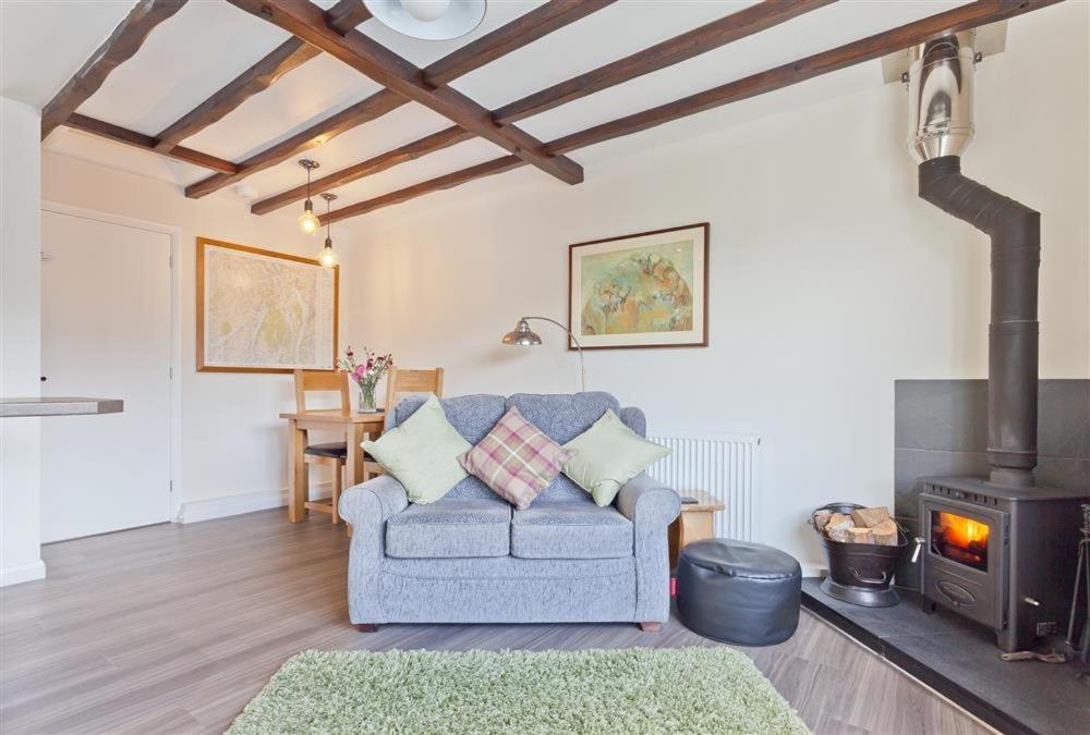 Badger'S Cottage With Stunning Lake & Mountain Views Coniston Εξωτερικό φωτογραφία